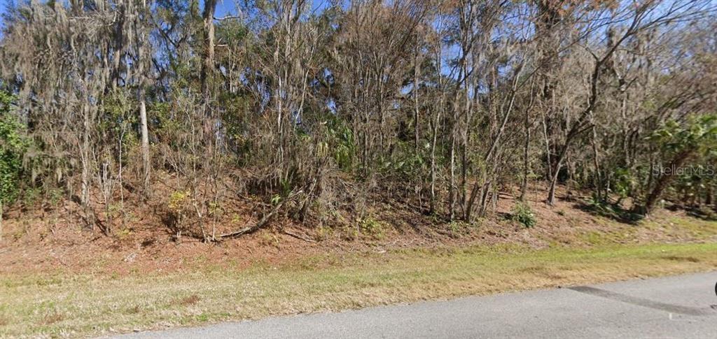 Southeast Wacahoota Road Micanopy, FL 32667 - Photo 2 of 9
