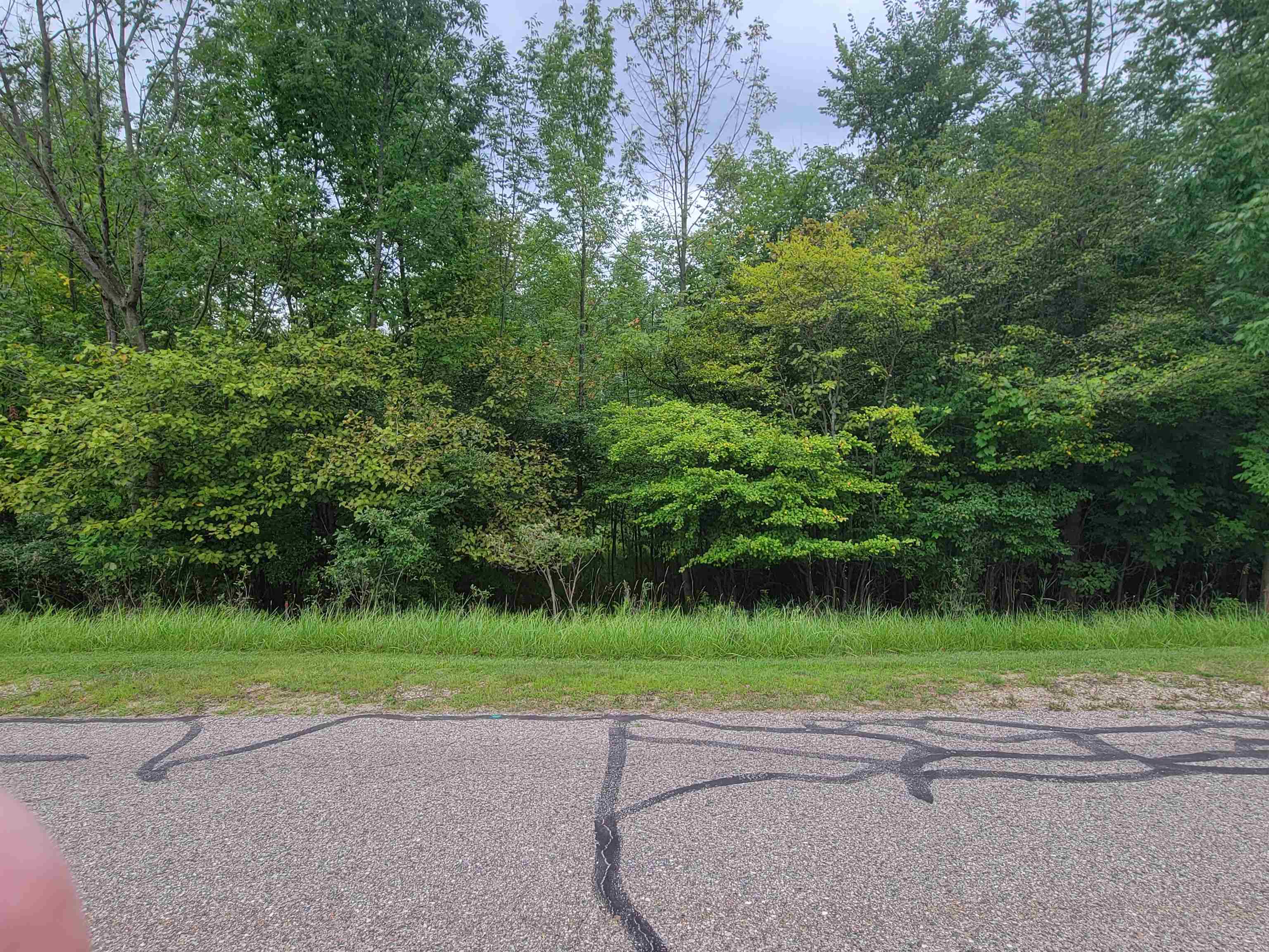 60-61 Huntington Circle Road Gladwin, MI 48624 - Photo 3 of 8