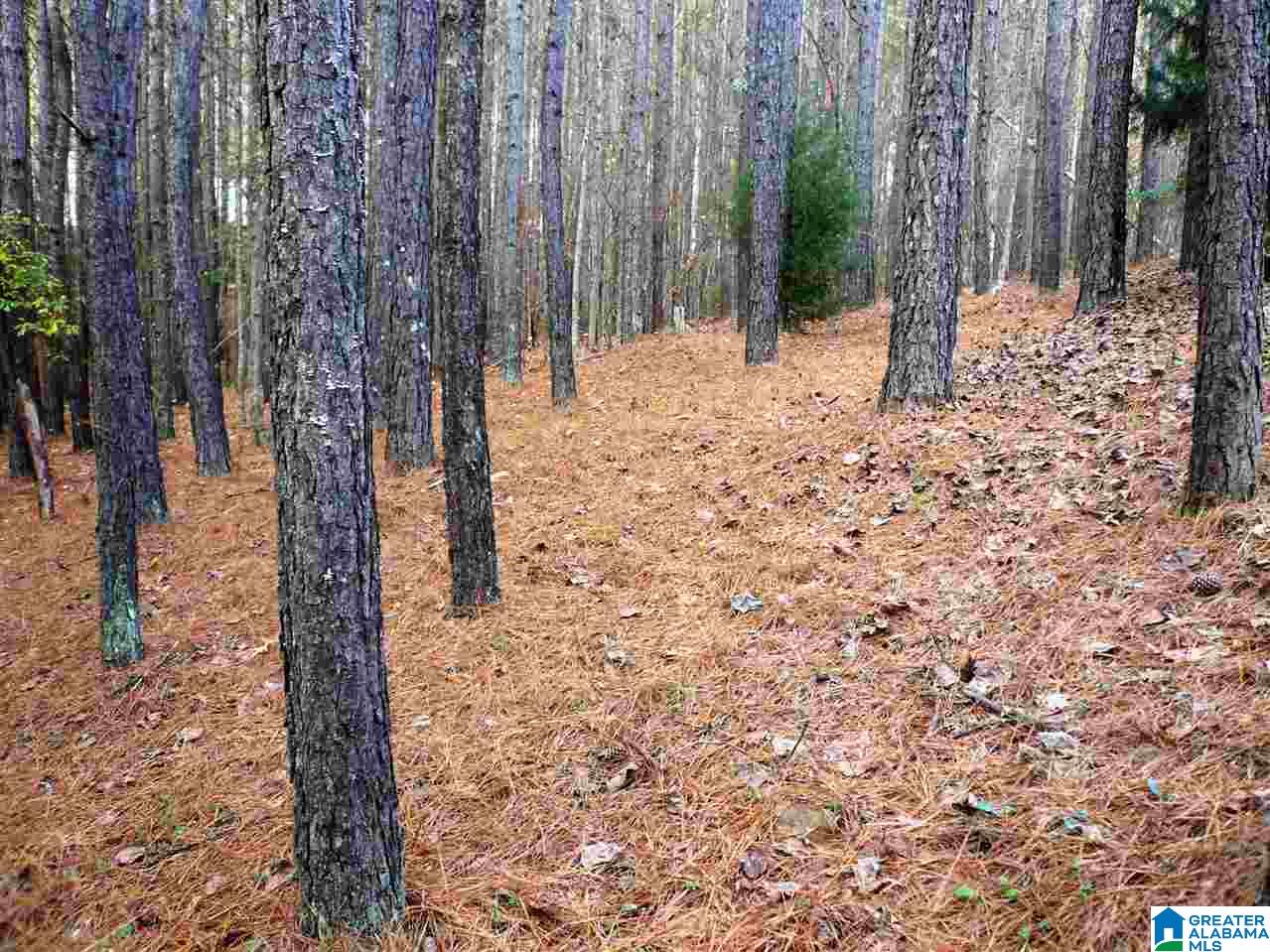 1201 Stoneykirk Road Pelham, AL 35124 - Photo 31 of 50