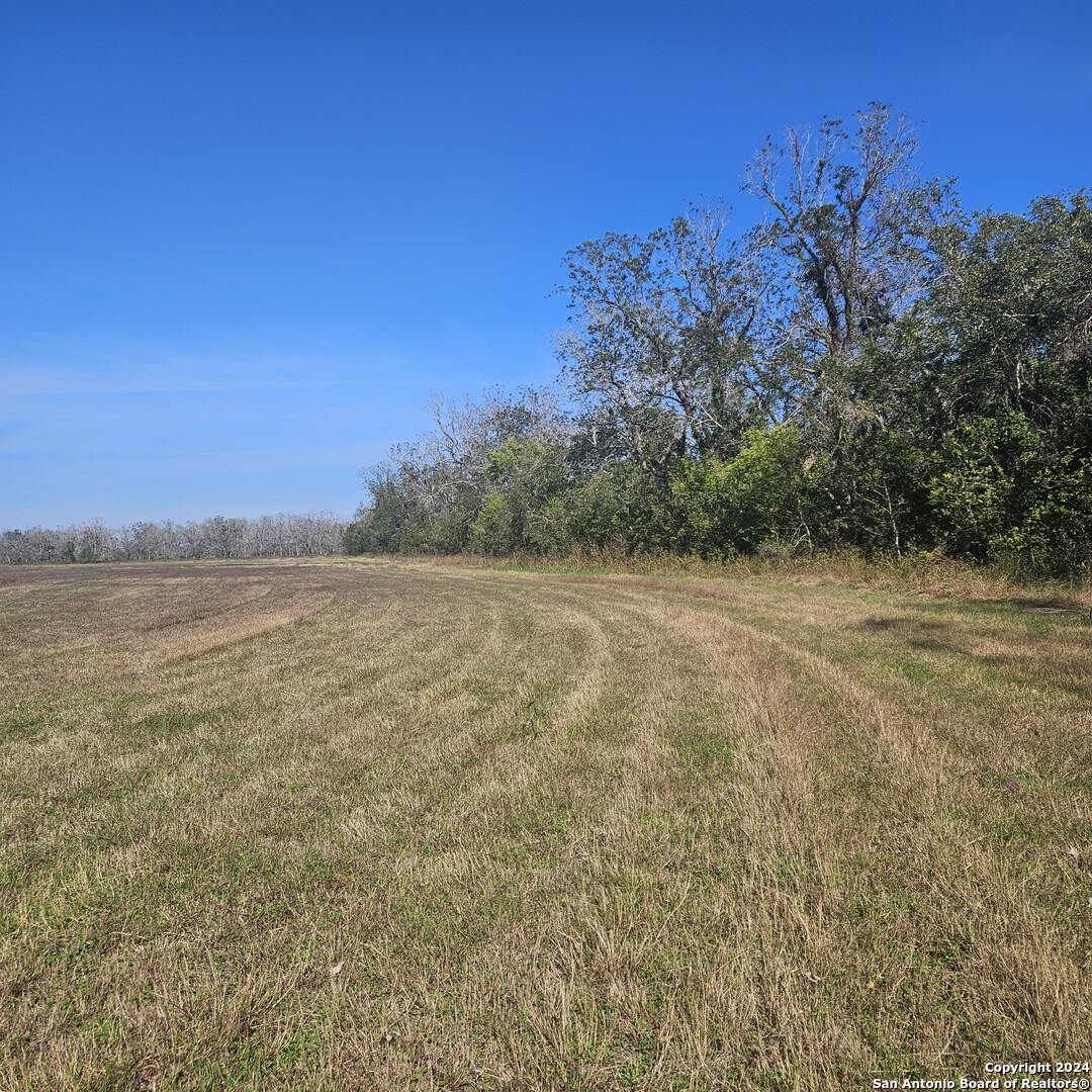 Tbd Fm 640 Wharton, TX 77488 - Photo 6 of 15 a view of a field with an ocean