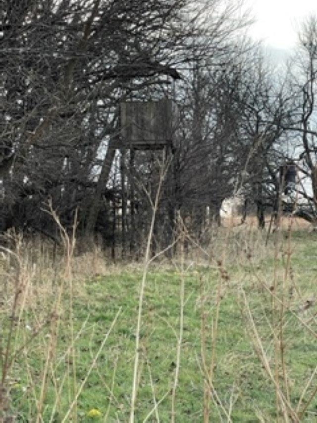 0 South Rock Road Geuda Springs, KS 67051 - Photo 12 of 21