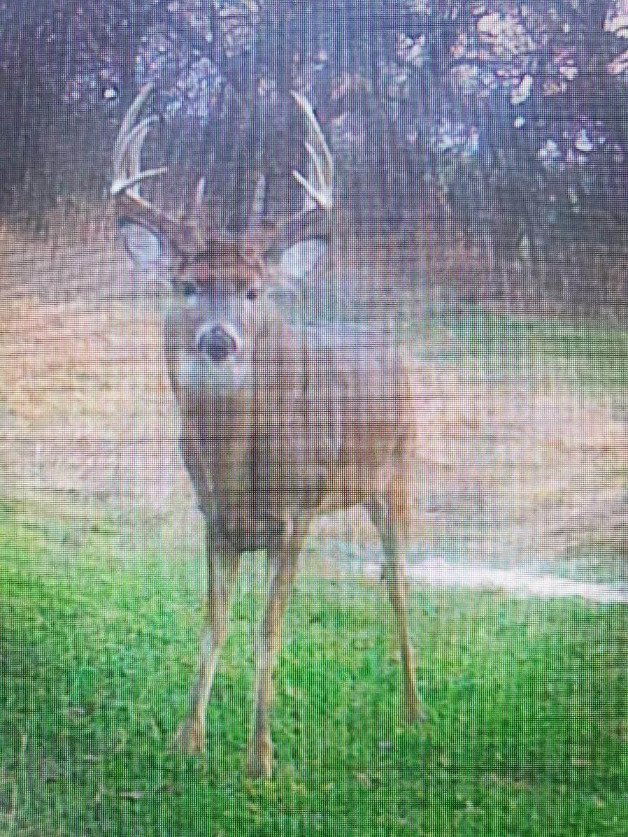 0 South Rock Road Geuda Springs, KS 67051 - Photo 19 of 21