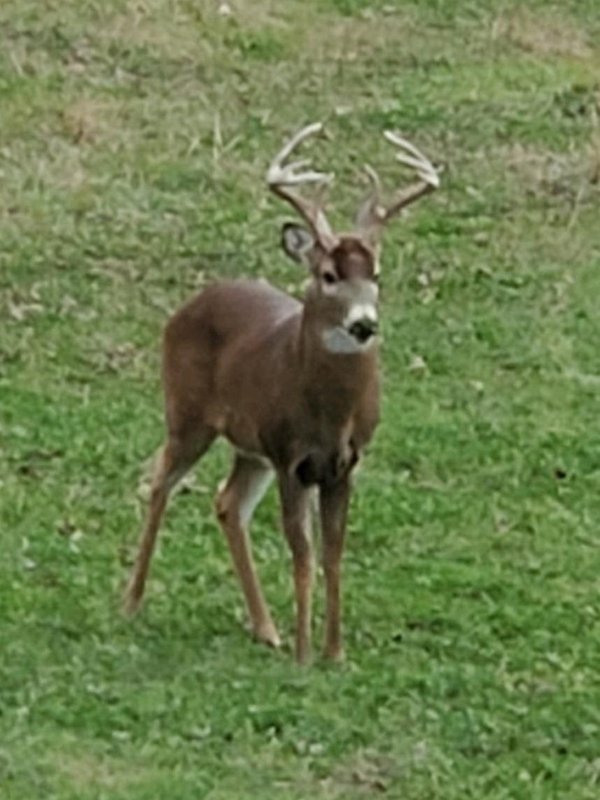 0 South Rock Road Geuda Springs, KS 67051 - Photo 20 of 21