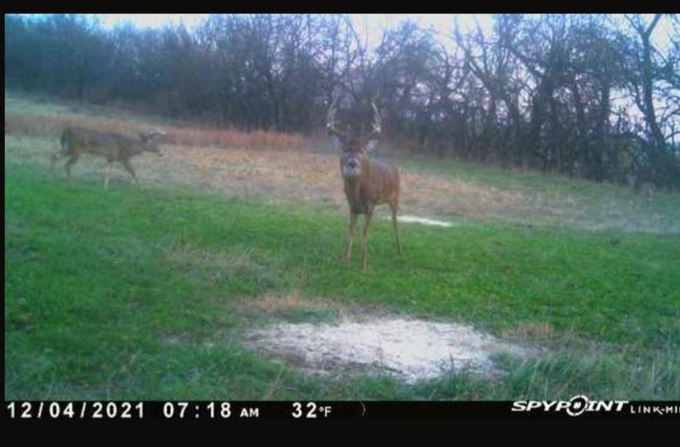 0 South Rock Road Geuda Springs, KS 67051 - Photo 21 of 21