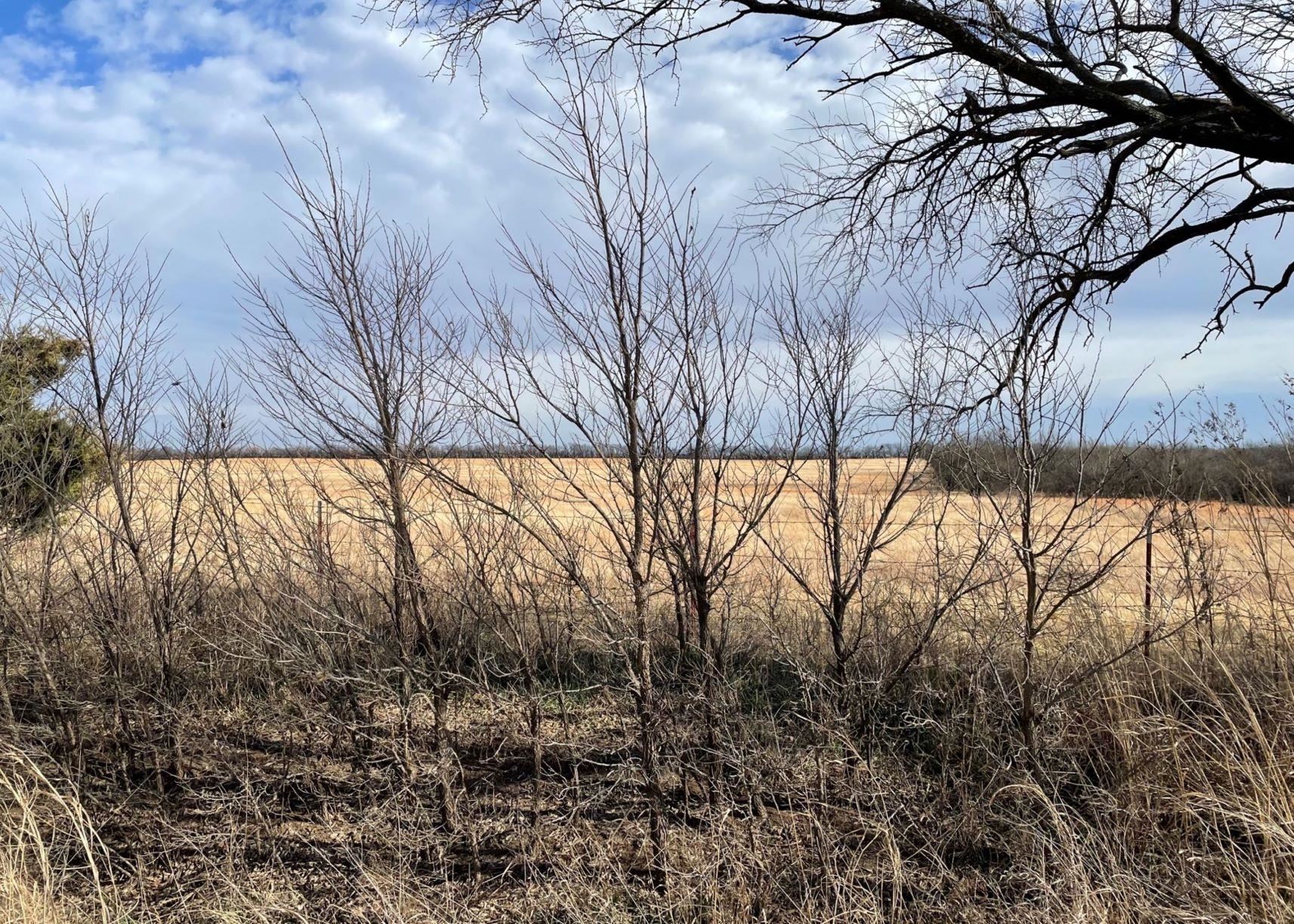 0 South Rock Road Geuda Springs, KS 67051 - Photo 4 of 21