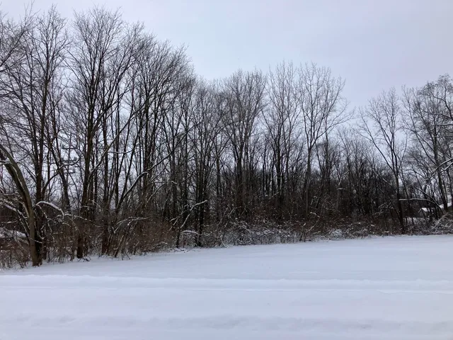 $25,000 | 400 South Lowe Street, Dowagiac, MI 49047