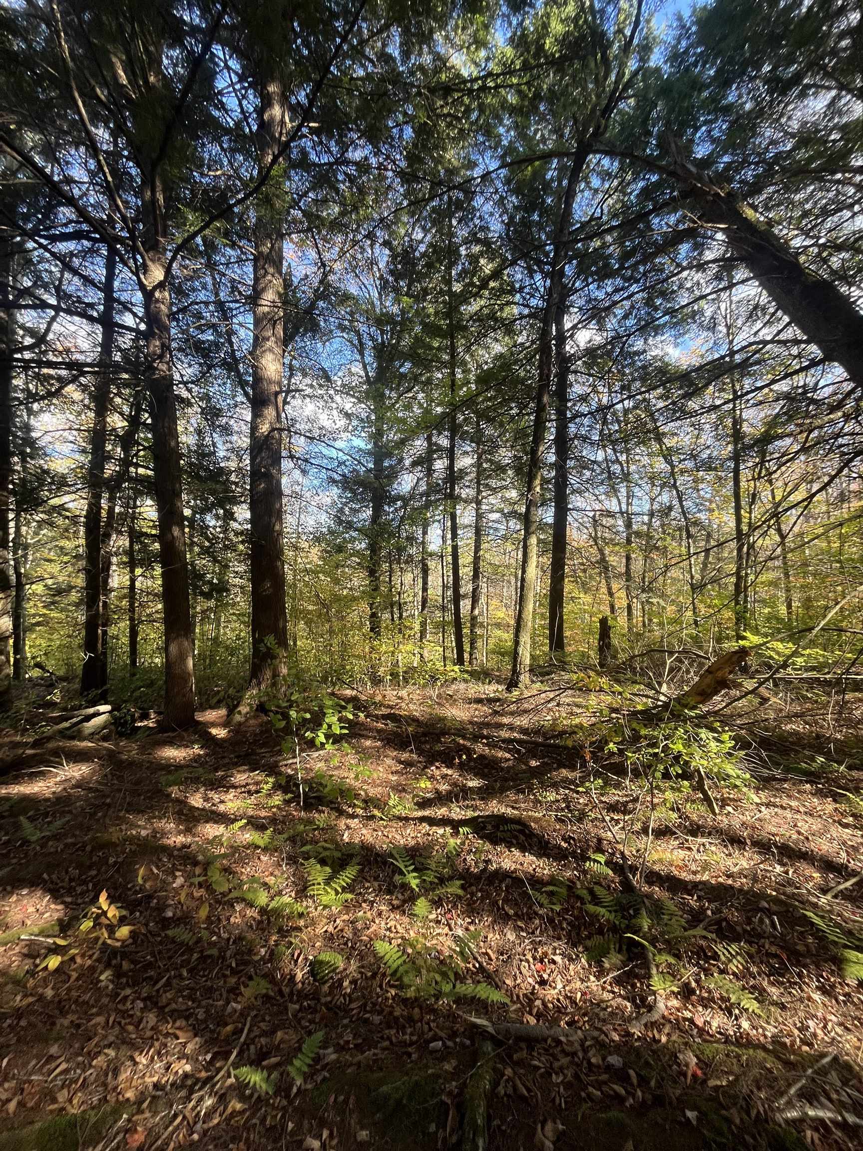 720 Bat Hennessy Road Moretown, VT 05660 - Photo 11 of 19