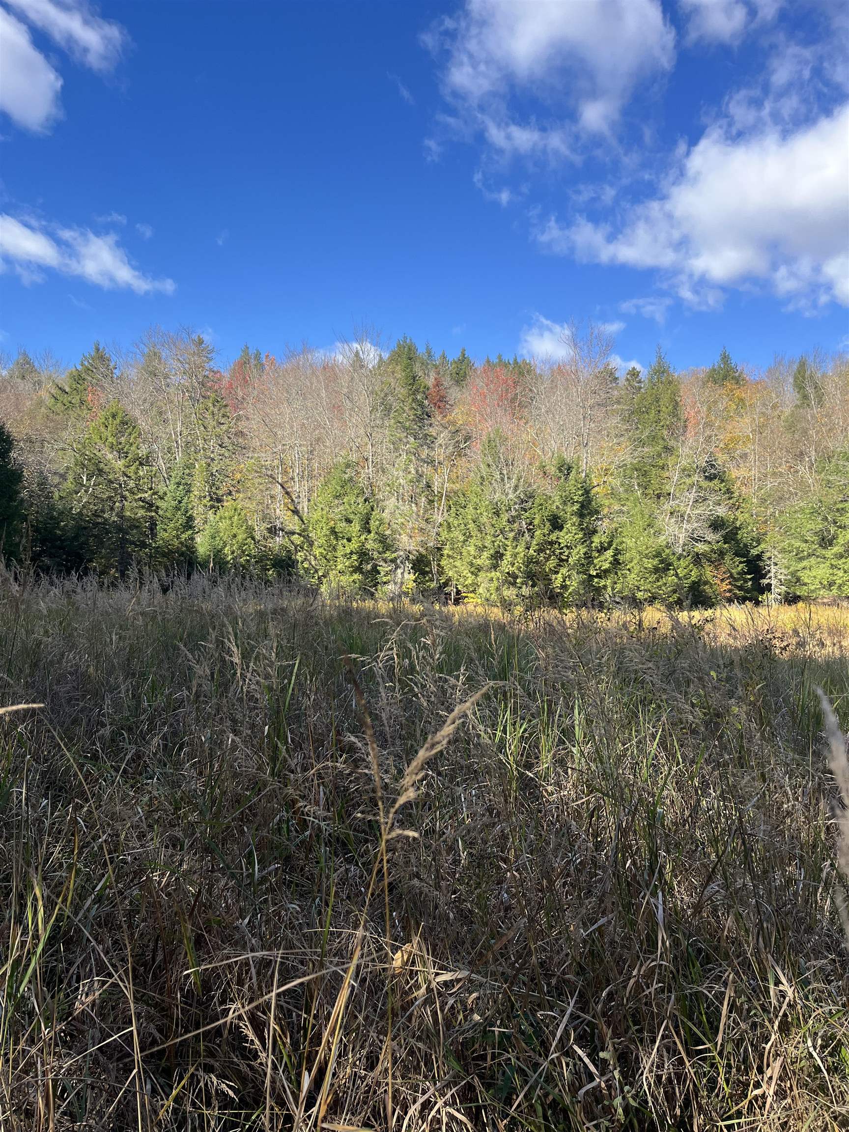 720 Bat Hennessy Road Moretown, VT 05660 - Photo 13 of 19