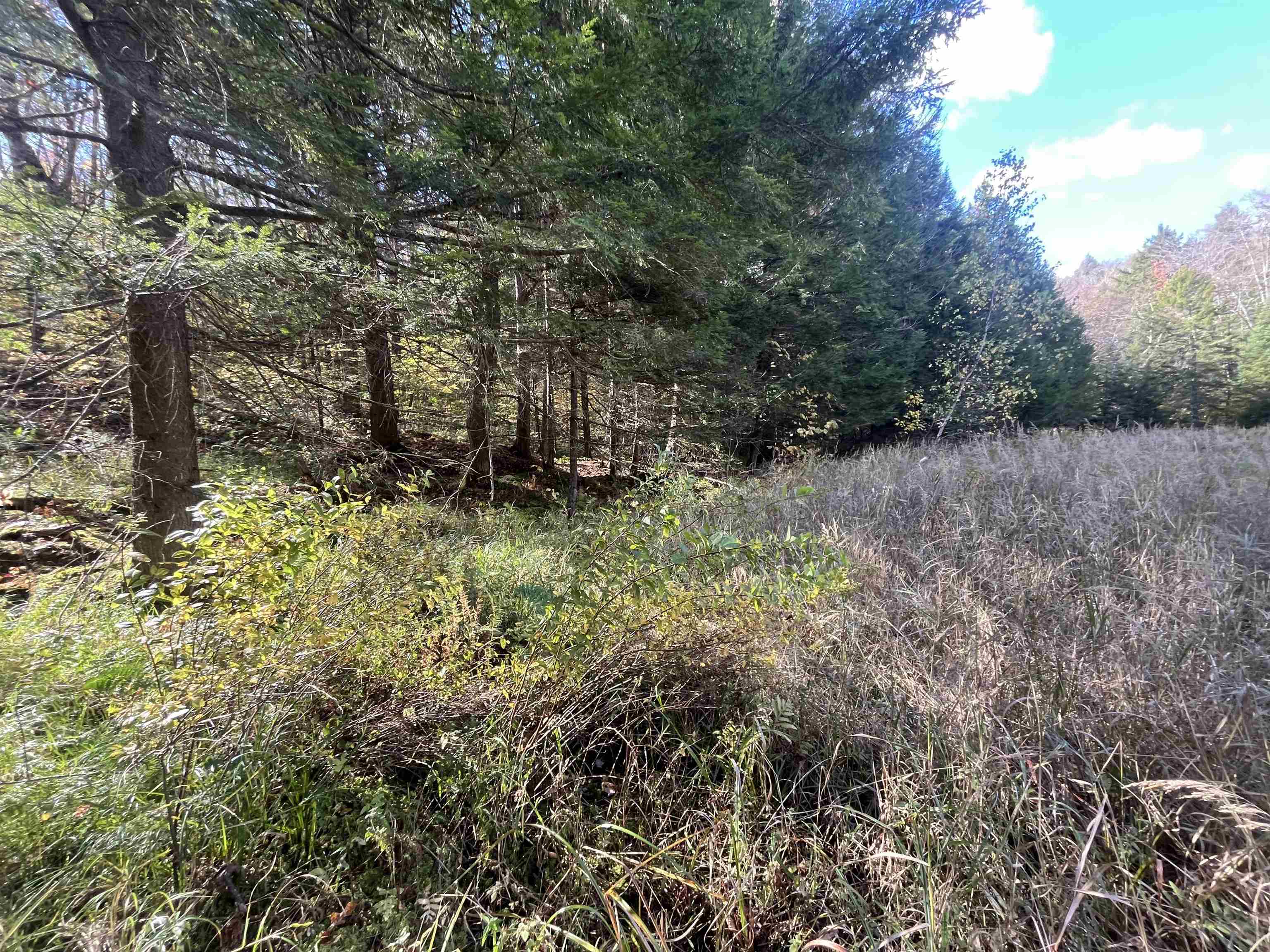 720 Bat Hennessy Road Moretown, VT 05660 - Photo 15 of 19