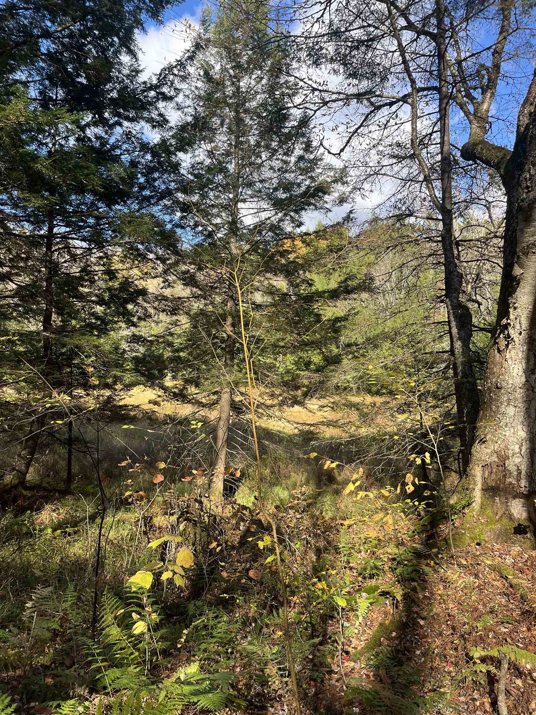 720 Bat Hennessy Road Moretown, VT 05660 - Photo 16 of 19