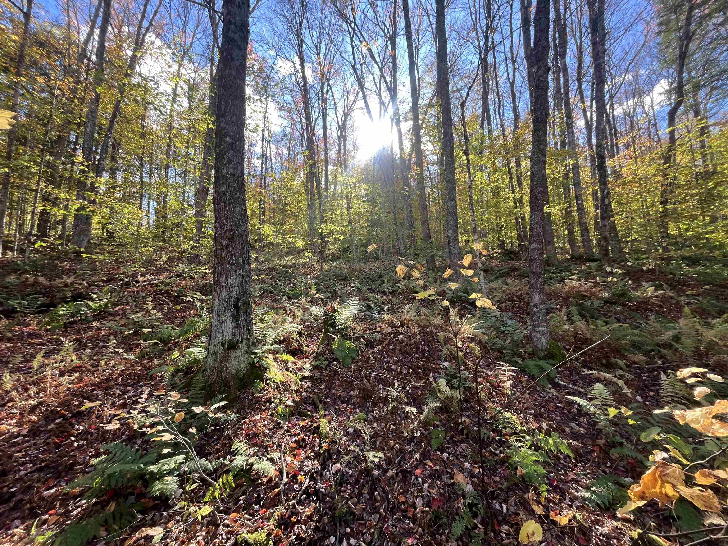 720 Bat Hennessy Road Moretown, VT 05660 - Photo 19 of 19