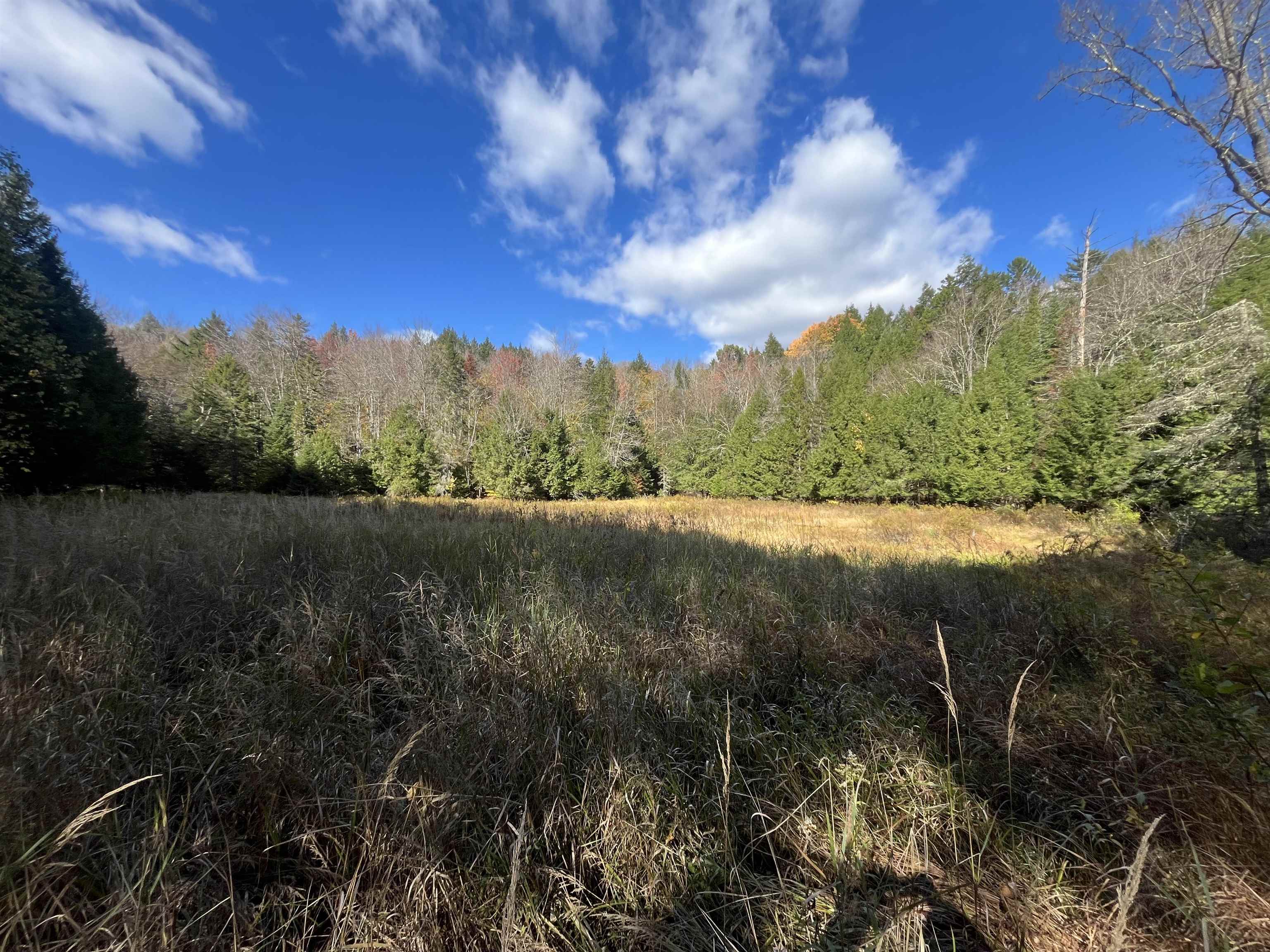 720 Bat Hennessy Road Moretown, VT 05660 - Photo 2 of 19