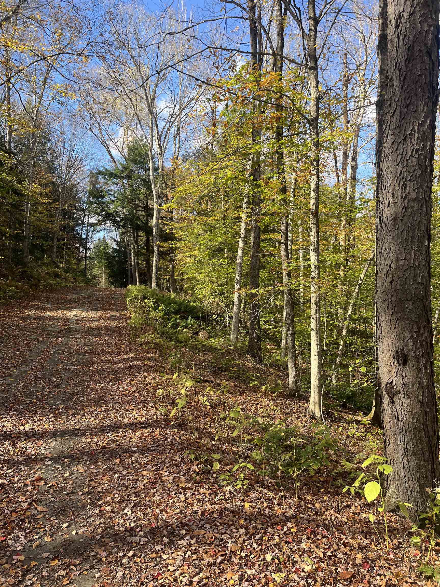 720 Bat Hennessy Road Moretown, VT 05660 - Photo 3 of 19