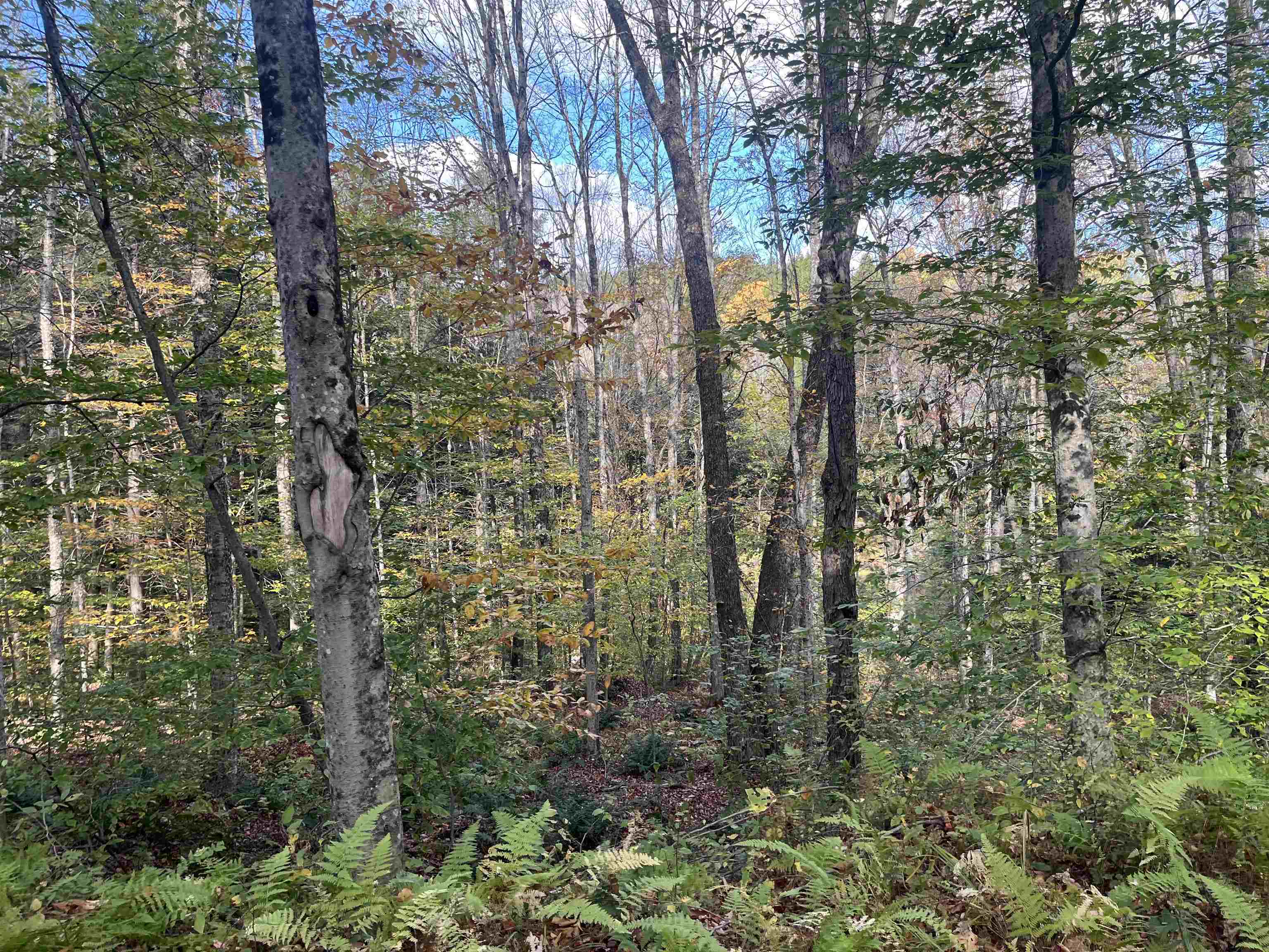 720 Bat Hennessy Road Moretown, VT 05660 - Photo 4 of 19