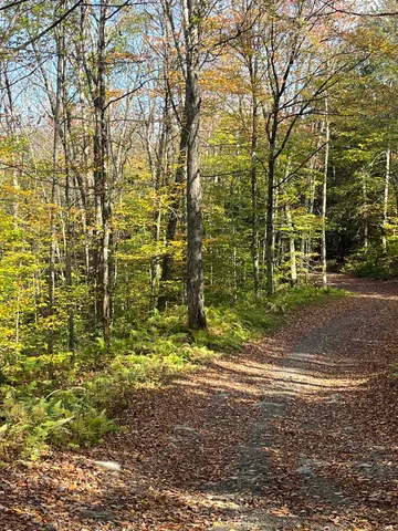 $170,000 | 720 Bat Hennessy Road, Moretown, VT 05660