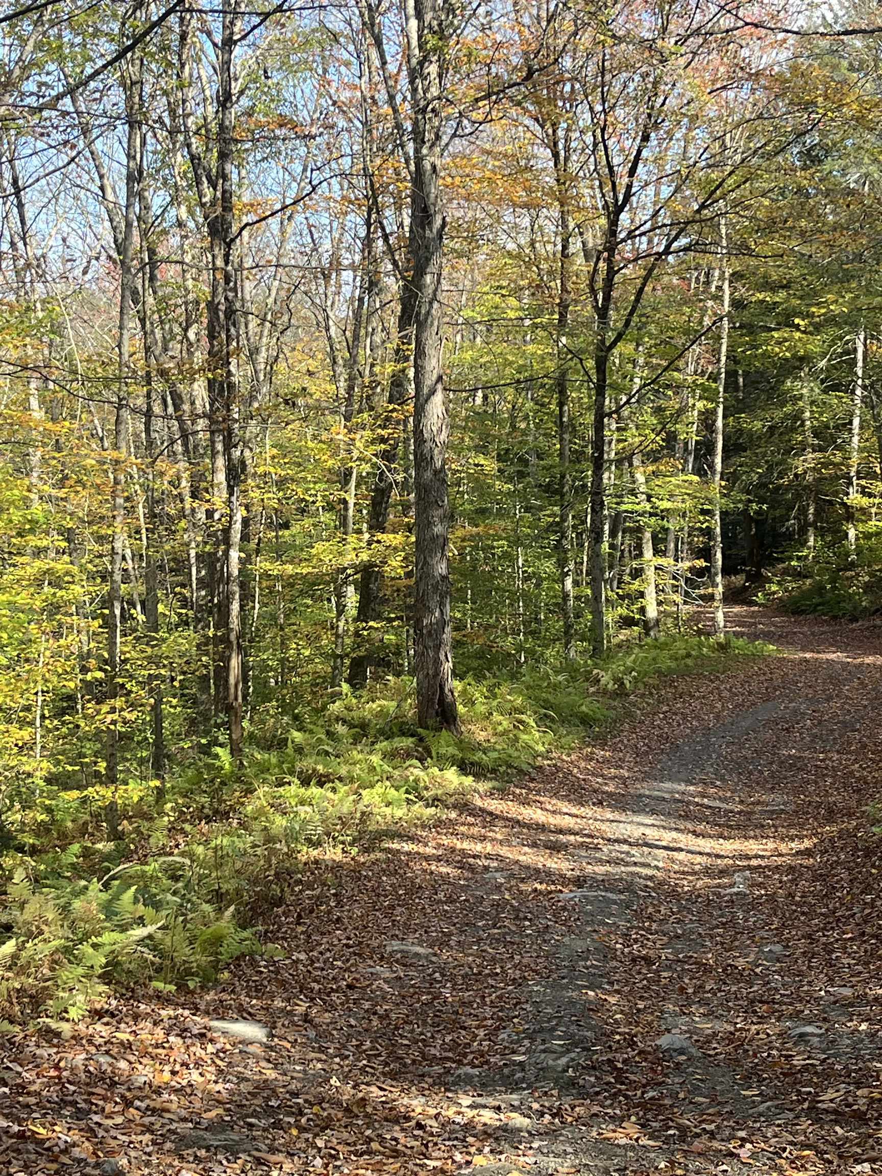 720 Bat Hennessy Road Moretown, VT 05660 - Photo 5 of 19