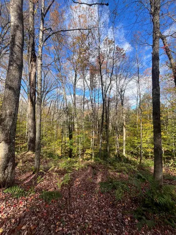 $170,000 | 720 Bat Hennessy Road, Moretown, VT 05660