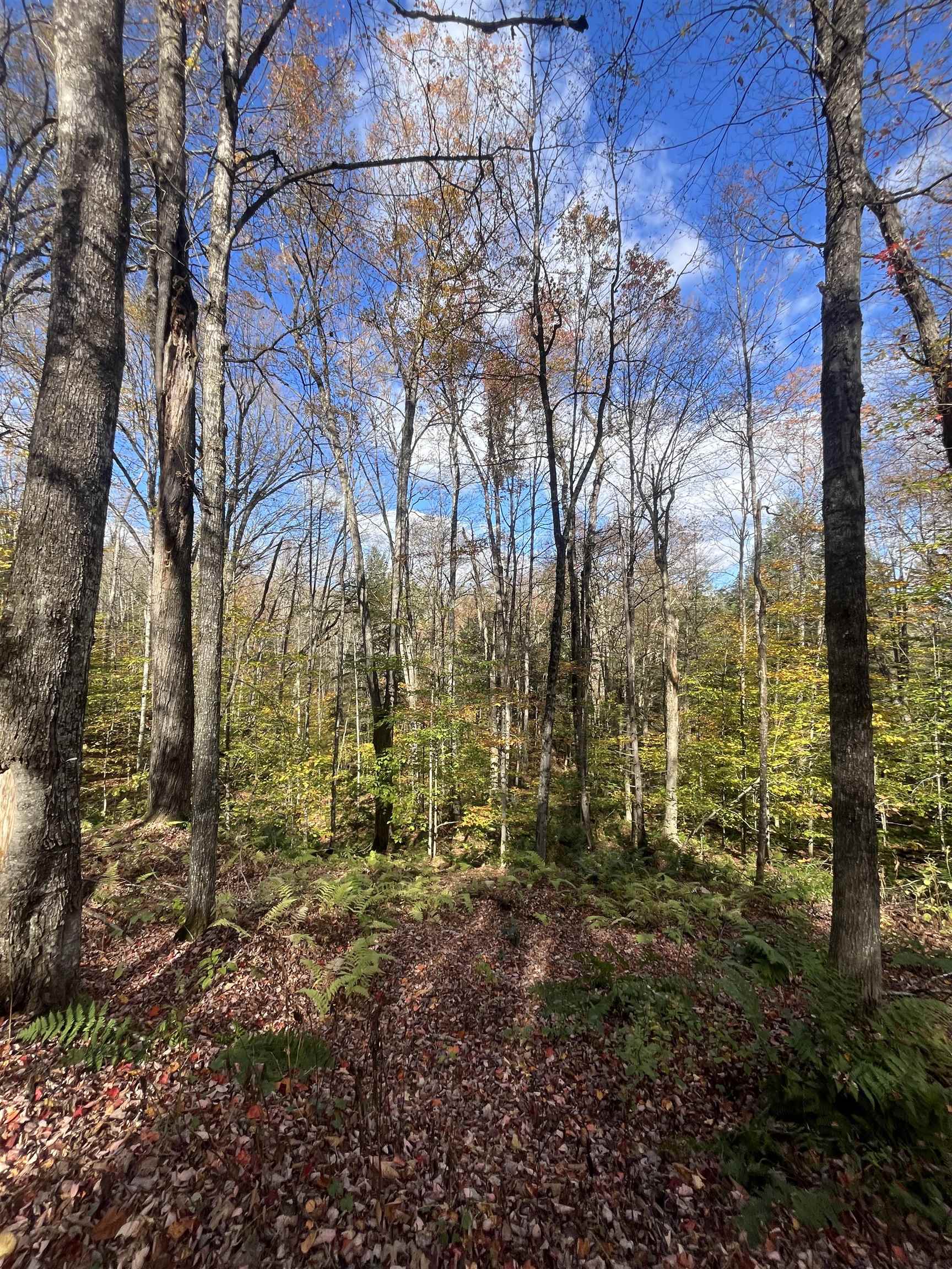 720 Bat Hennessy Road Moretown, VT 05660 - Photo 6 of 19