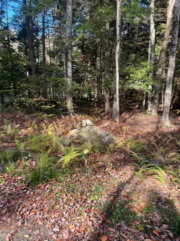 $170,000 | 720 Bat Hennessy Road, Moretown, VT 05660