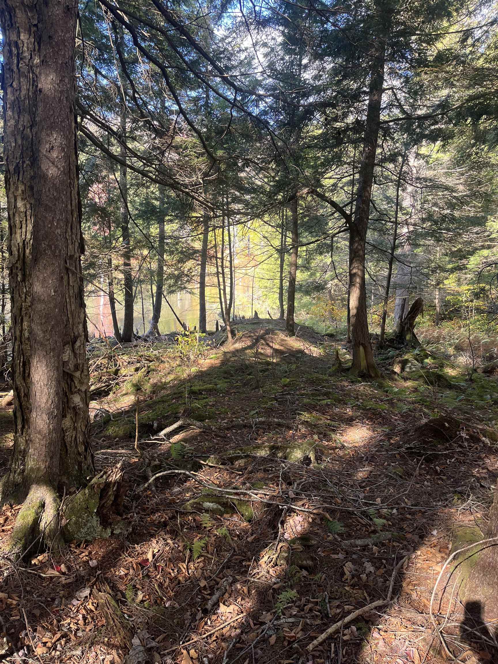 720 Bat Hennessy Road Moretown, VT 05660 - Photo 10 of 19