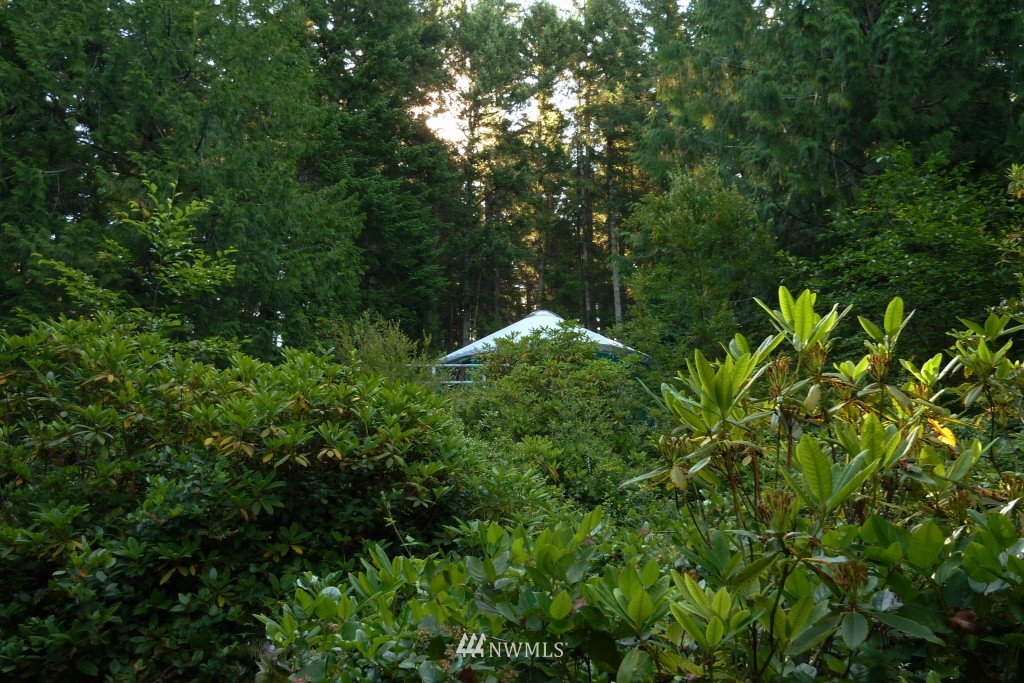 773 Payne Road Quilcene, WA 98376 - Photo 24 of 25 Gallery Image 24