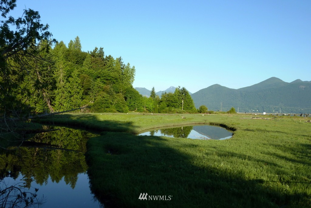 773 Payne Road Quilcene, WA 98376 - Photo 10 of 25 Gallery Image 10