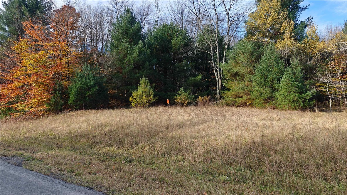 239 White Road Parish, NY 13131 - Photo 10 of 17
