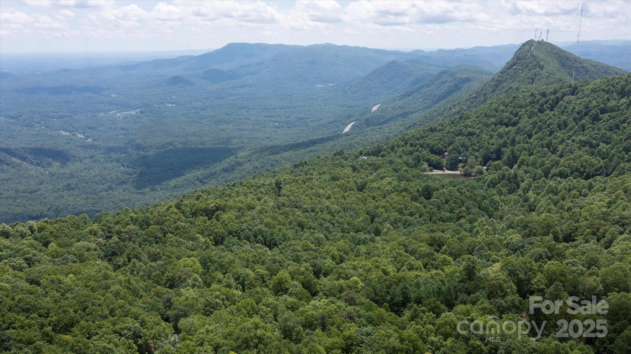 a view of a lush green forest with a mountain
