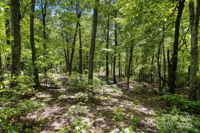 a view of outdoor space and trees