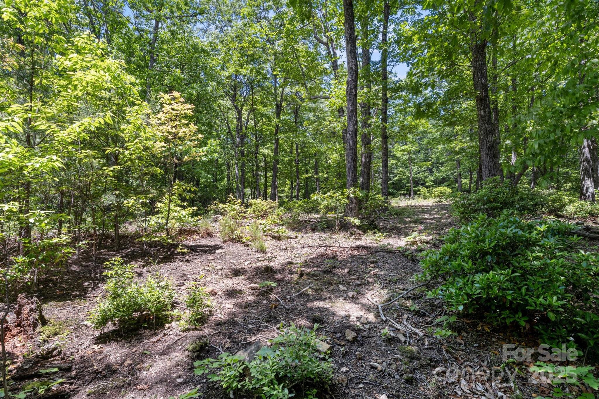 99999 Arrowhead Trail, Unit 80 Columbus, NC 28722 - Photo 6 of 17 a view of a forest with trees in the background