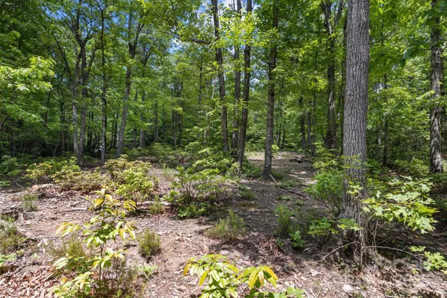a view of outdoor space and green space