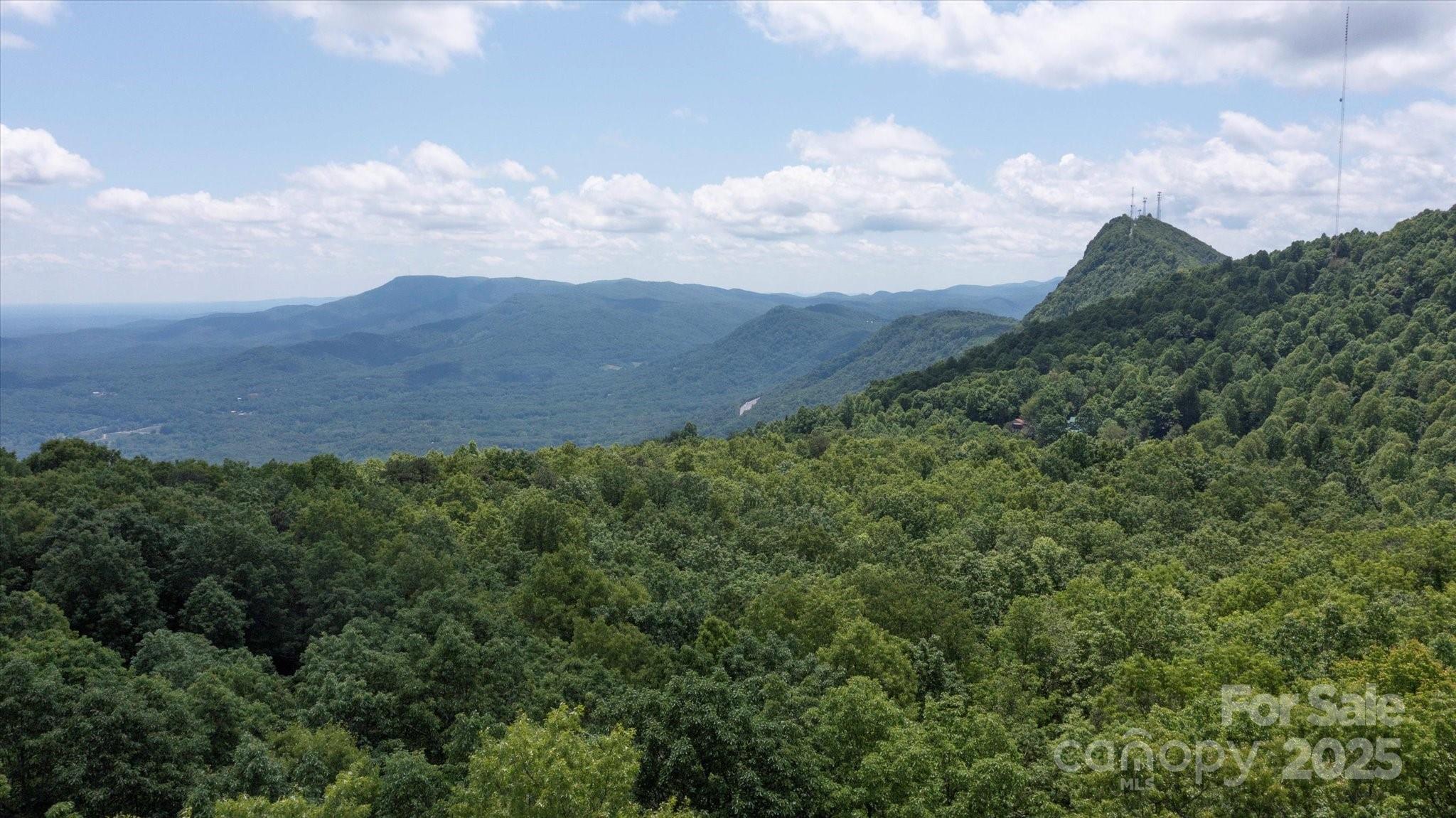 99999 Arrowhead Trail, Unit 80 Columbus, NC 28722 - Photo 10 of 17 a view of a lot of trees in a field