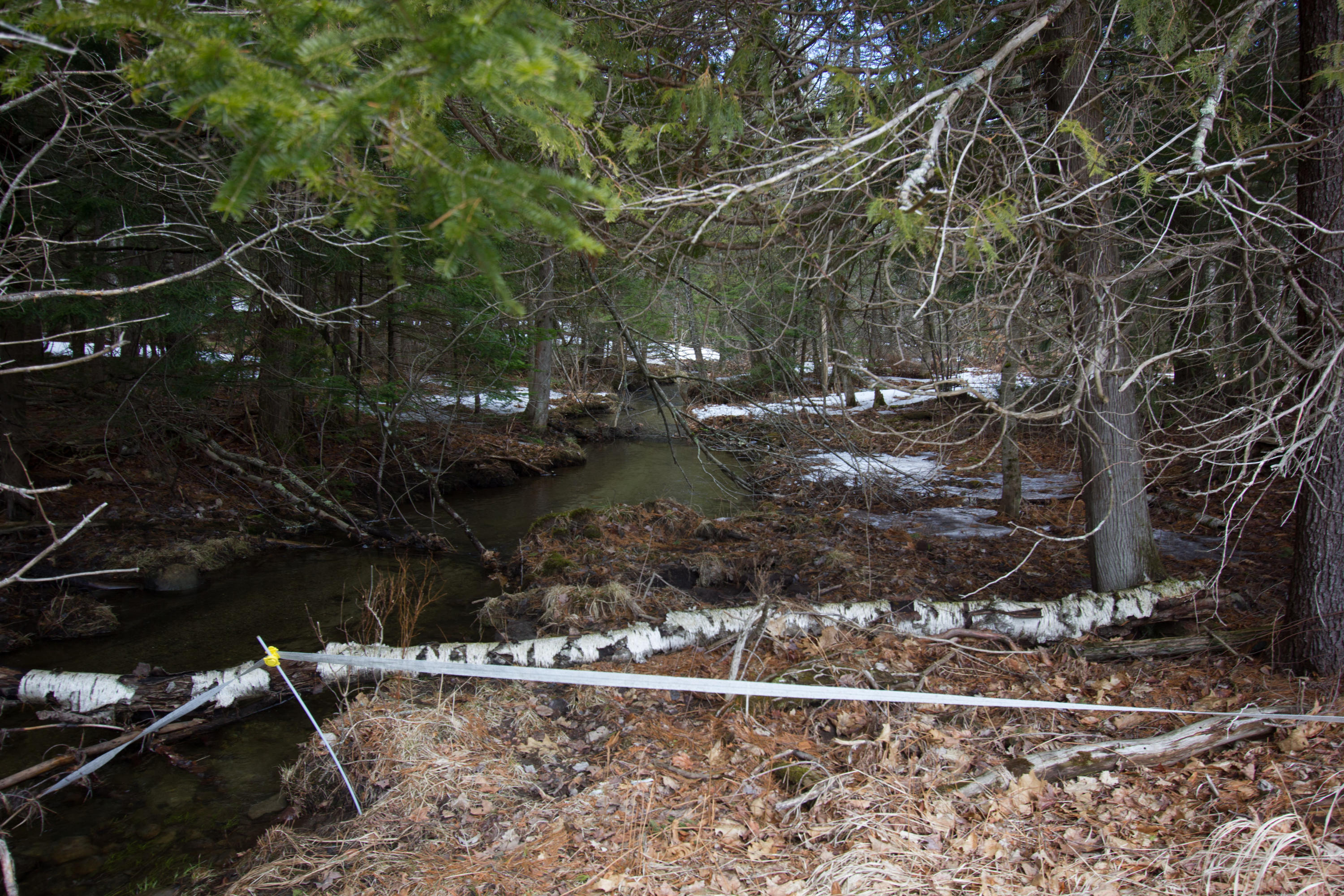 105 Troy Center Road Troy, ME 04987 - Photo 101 of 120 IMG_3023