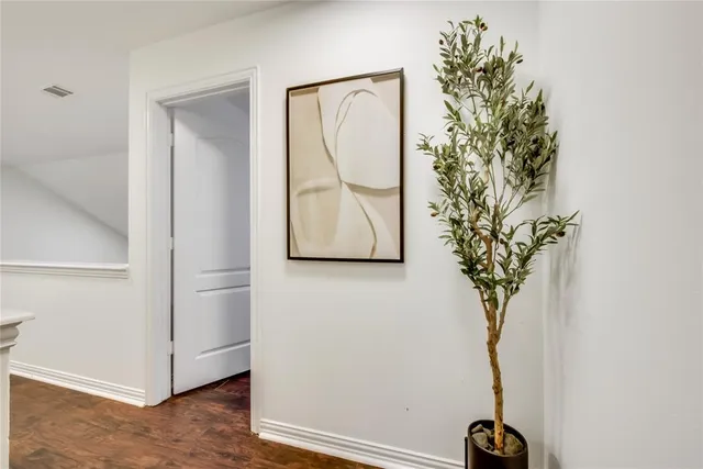 a view of a potted plant in a room