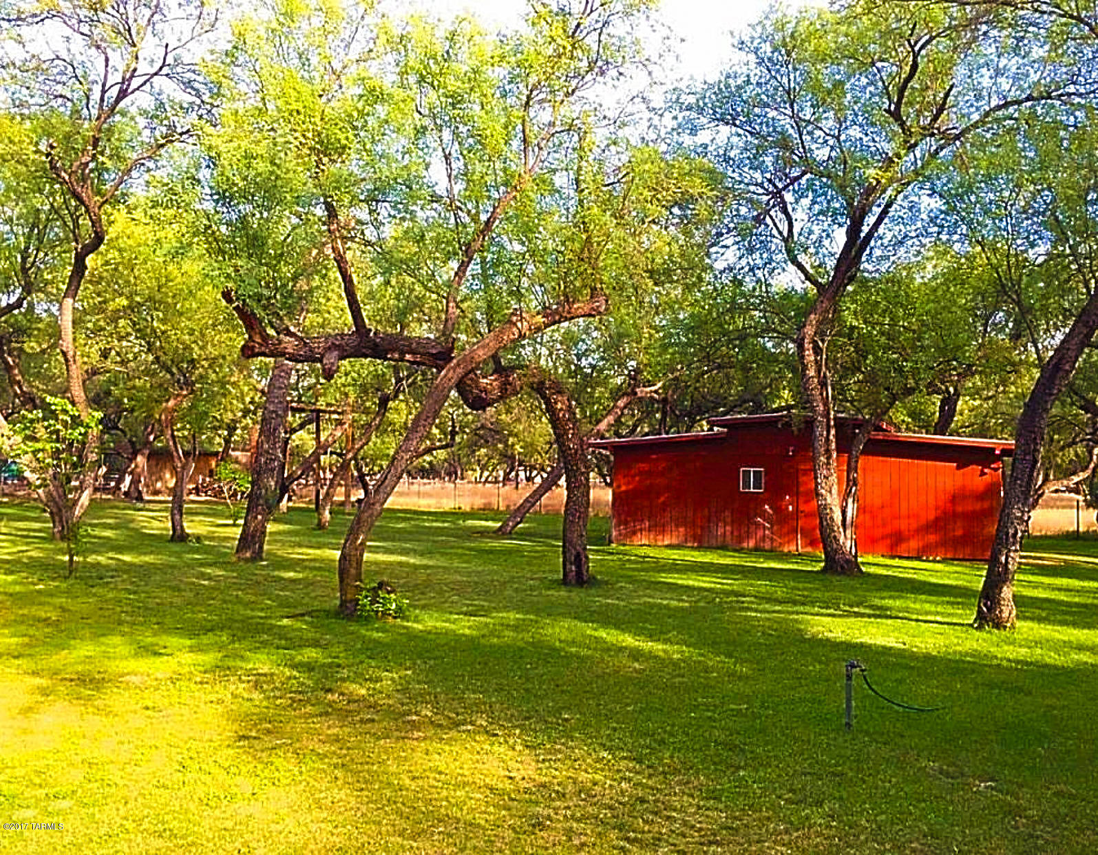 8031 East Tanque Verde Road Tucson, AZ 85749 - Photo 7 of 16