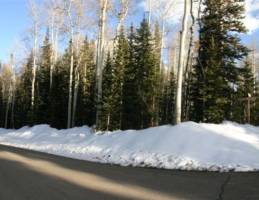 164 Ridge Road Telluride, CO 81435 - Photo 4 of 10 North border