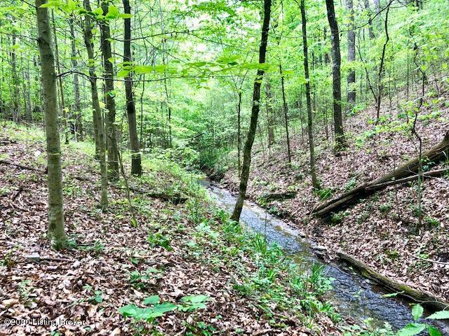 2349 Caldwell Ridge Road Knifley, KY 42753 - Photo 3 of 3 STREAM ON PROPERTY