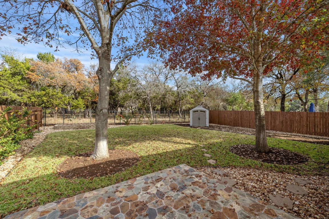 a backyard of a house with plants and large tree