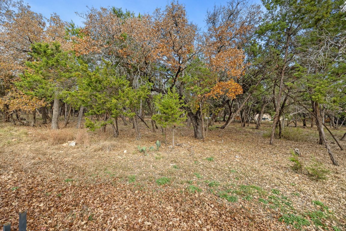 3948 Sapphire Loop Round Rock, TX 78681 - Photo 39 of 40 a view of outdoor space and trees