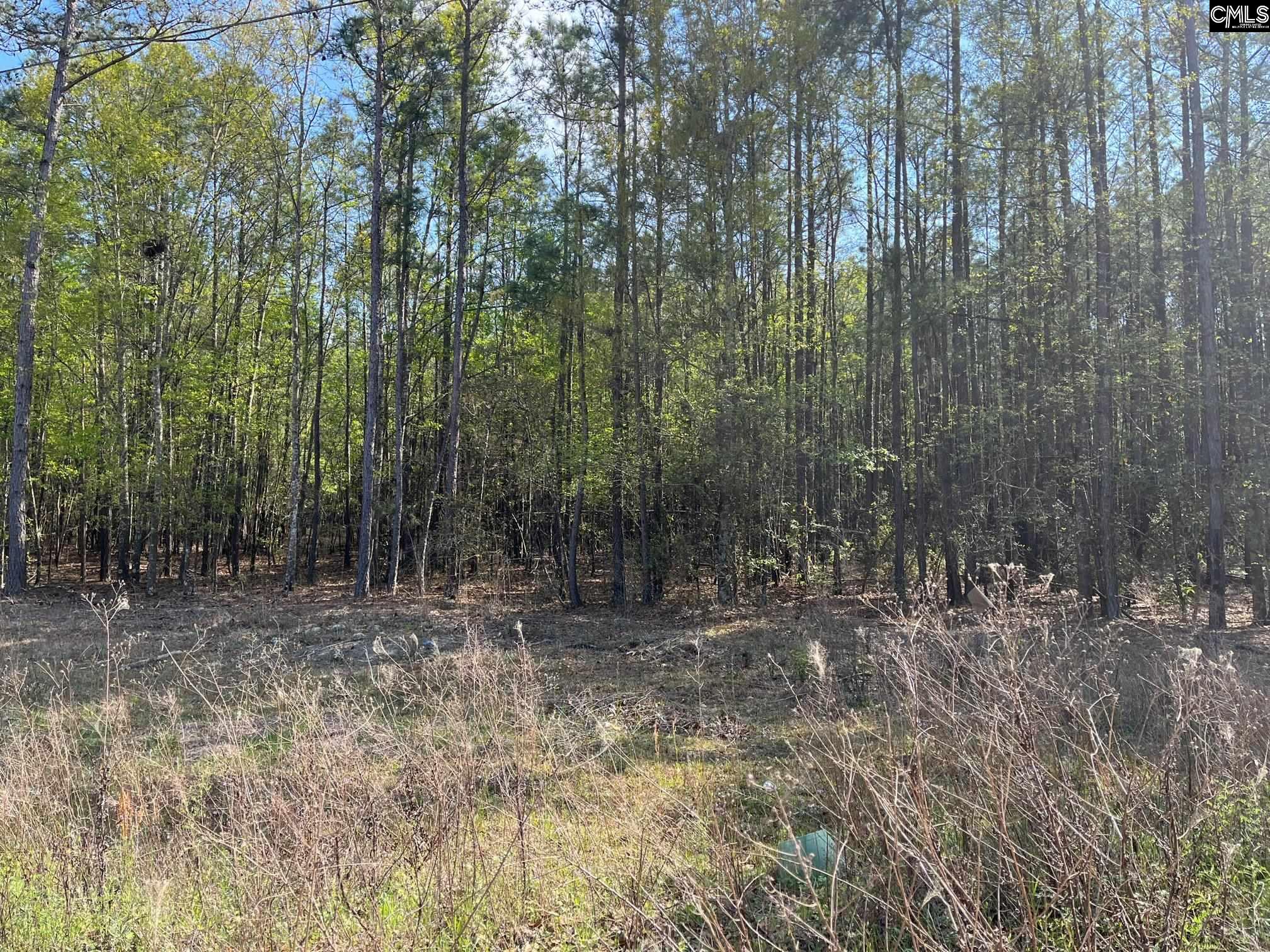 0 Cottage Road West Columbia, SC 29172 - Photo 3 of 5