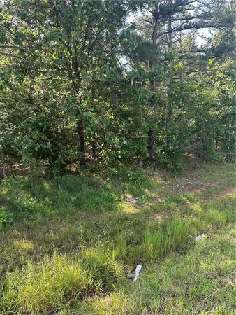 $100,000 | 21 Highway 21, Doniphan, MO 63935