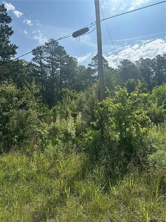 $100,000 | 21 Highway 21, Doniphan, MO 63935