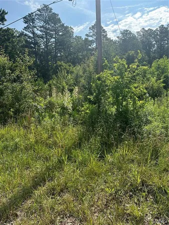 $100,000 | 21 Highway 21, Doniphan, MO 63935