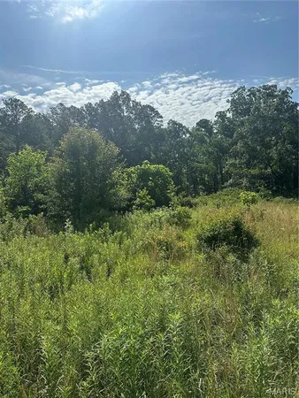 $100,000 | 21 Highway 21, Doniphan, MO 63935