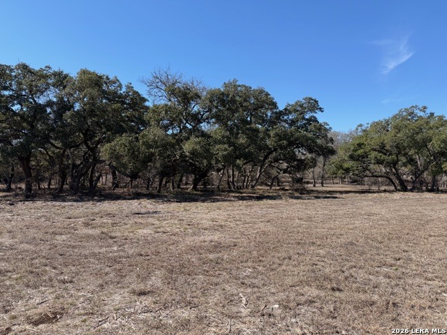 11819 Nolan Point Boerne, TX 78006 - Photo 11 of 11 a backyard of a house with lots of green space