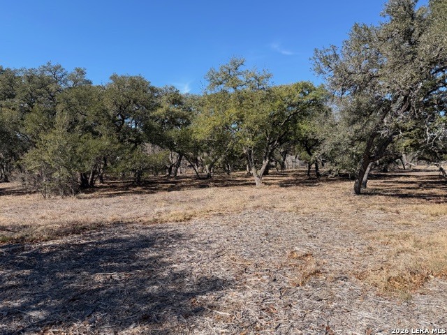 11819 Nolan Point Boerne, TX 78006 - Photo 8 of 11 a view of outdoor space with trees