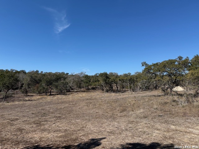 11819 Nolan Point Boerne, TX 78006 - Photo 10 of 11 a view of a field with a tree in the background