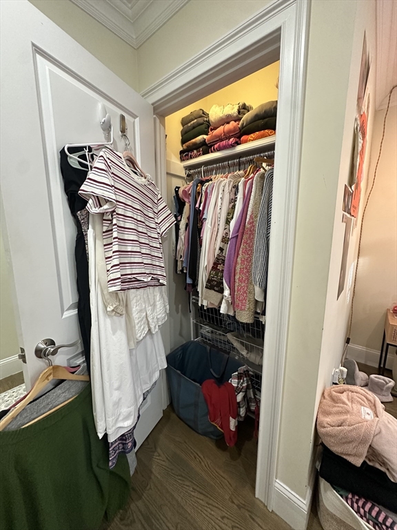 56 Cedar Street, Unit 2 Boston, MA 02119 - Photo 11 of 16 a view of walk in closet with clothes and shoes