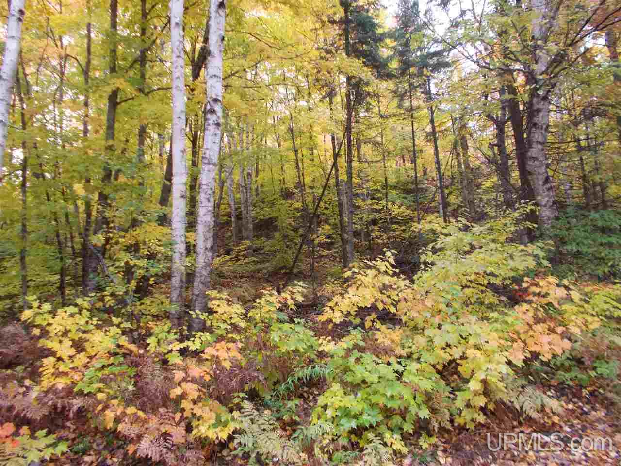 640-acres Peshekee Grade Road Skanee, MI 49946 - Photo 12 of 37