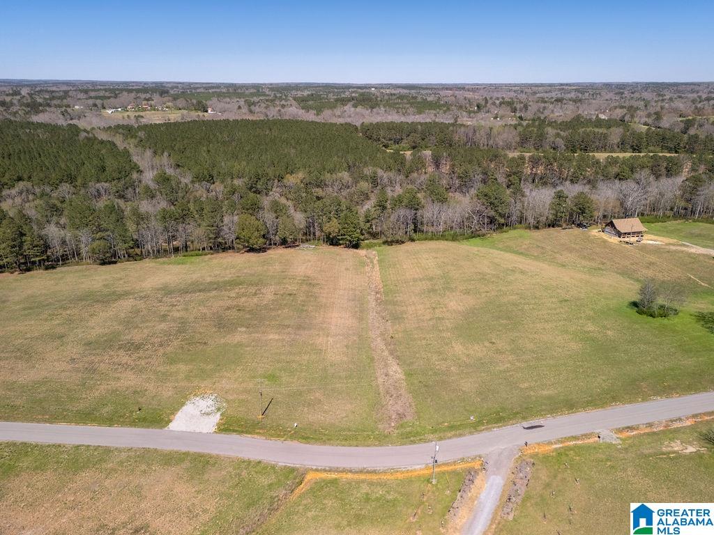 Bluegrass Lane, Unit 11 Jasper, AL 35503 - Photo 20 of 38